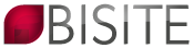 BISITE Research Group