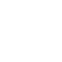 Google + icon